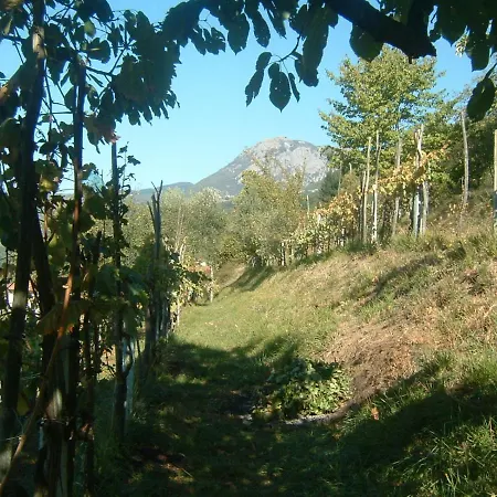 Il Casale Di Rolando