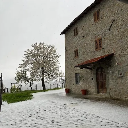 Il Casale Di Rolando Apartment Castiglione di Garfagnana
