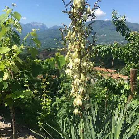 Il Casale Di Rolando